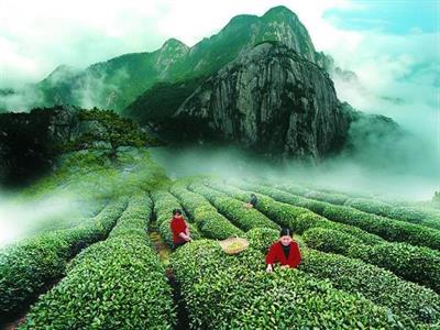 丹霞秘境 尋幽武夷 福建4天團