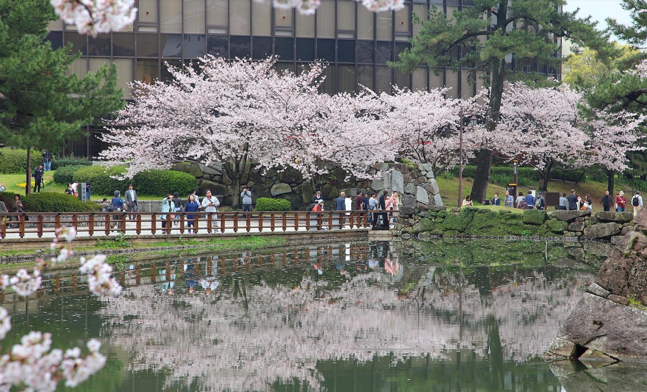 日本福岡 宮崎駿筆下的奇幻世界 5天團