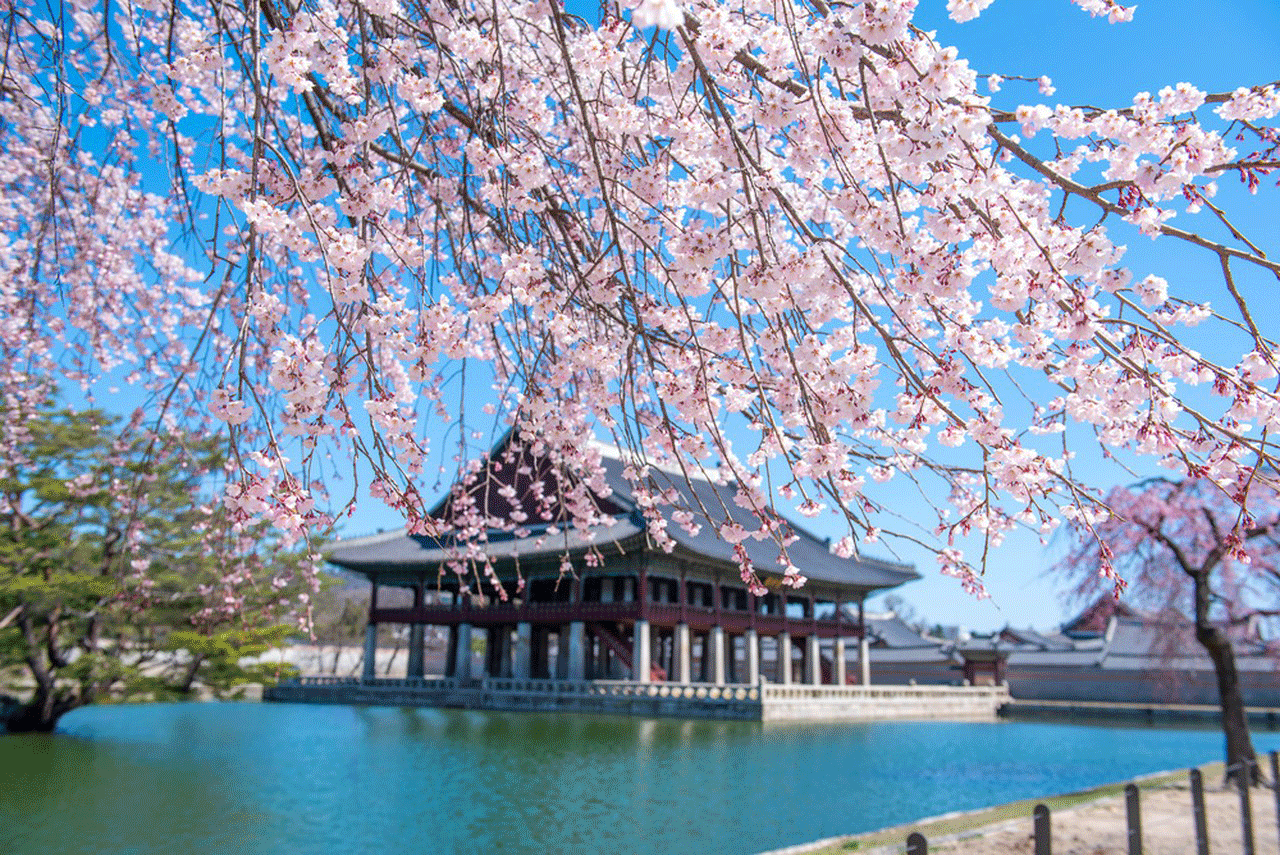 香草環繞歐式園邸 燈影流轉童話夢境 韓國首爾愛寶樂園5天團