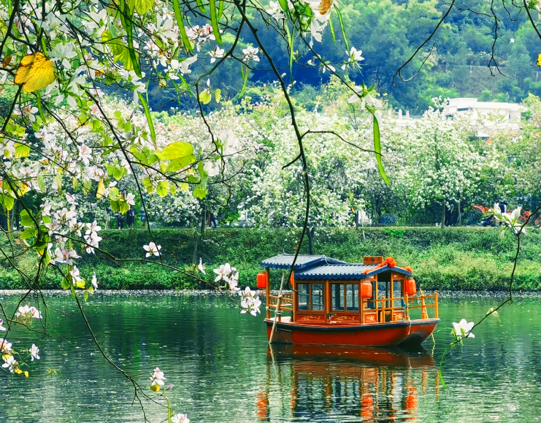 肇慶重本包【星湖濕地公園船遊+仙女湖景區+丹頂鶴島】 2天團