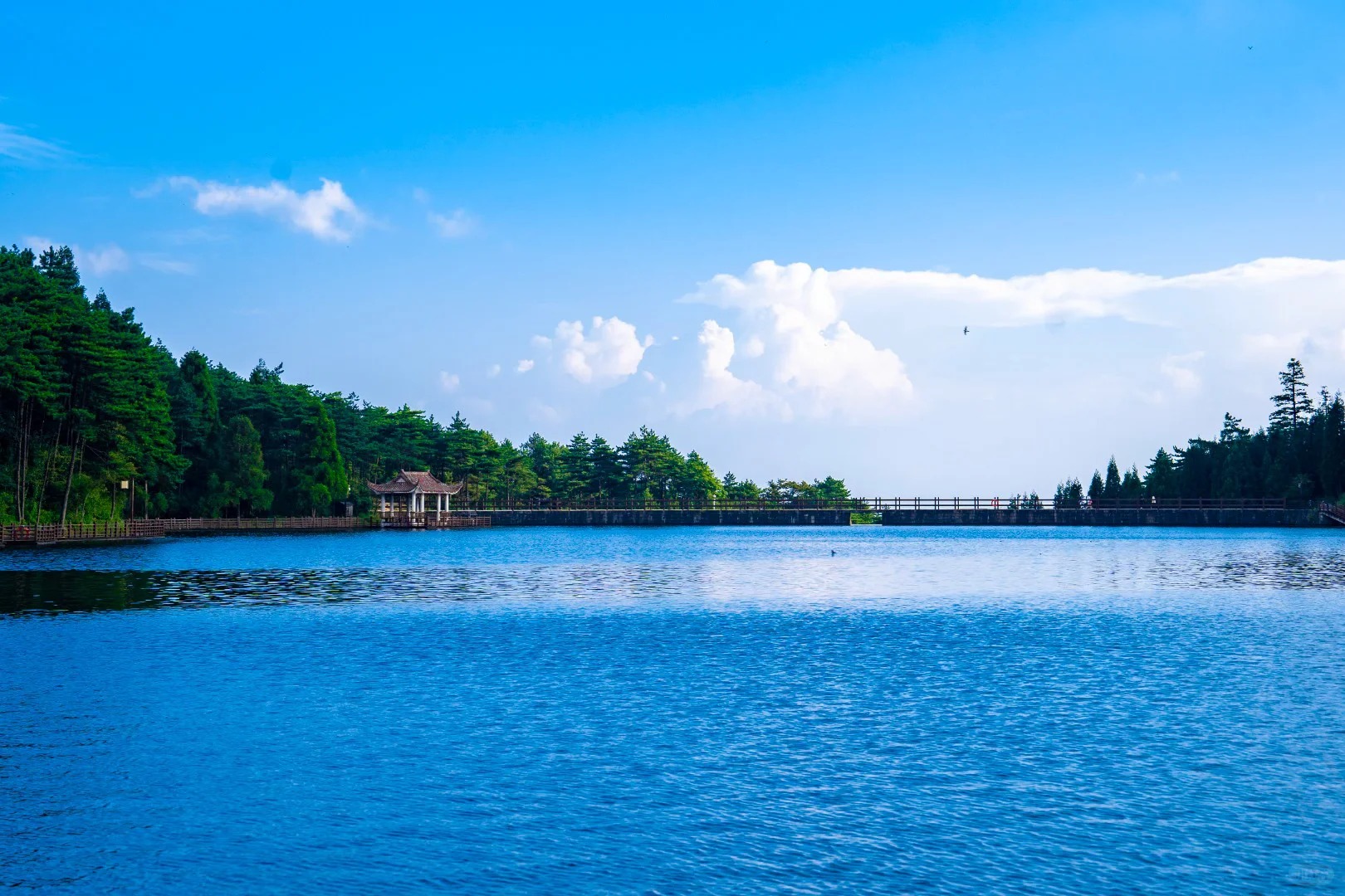 溫湯之旅探秘明月山感受富硒溫湯古鎮4天團