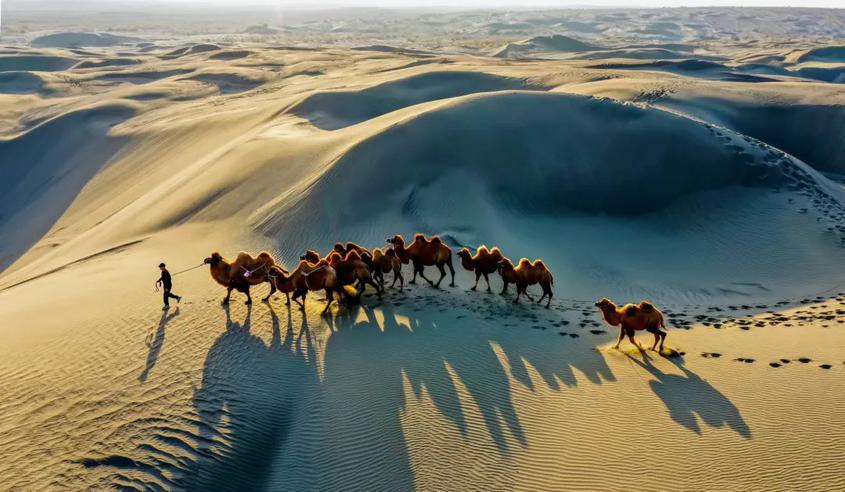 季節限定·北疆春色·雙杏秘境 北疆直航10天團