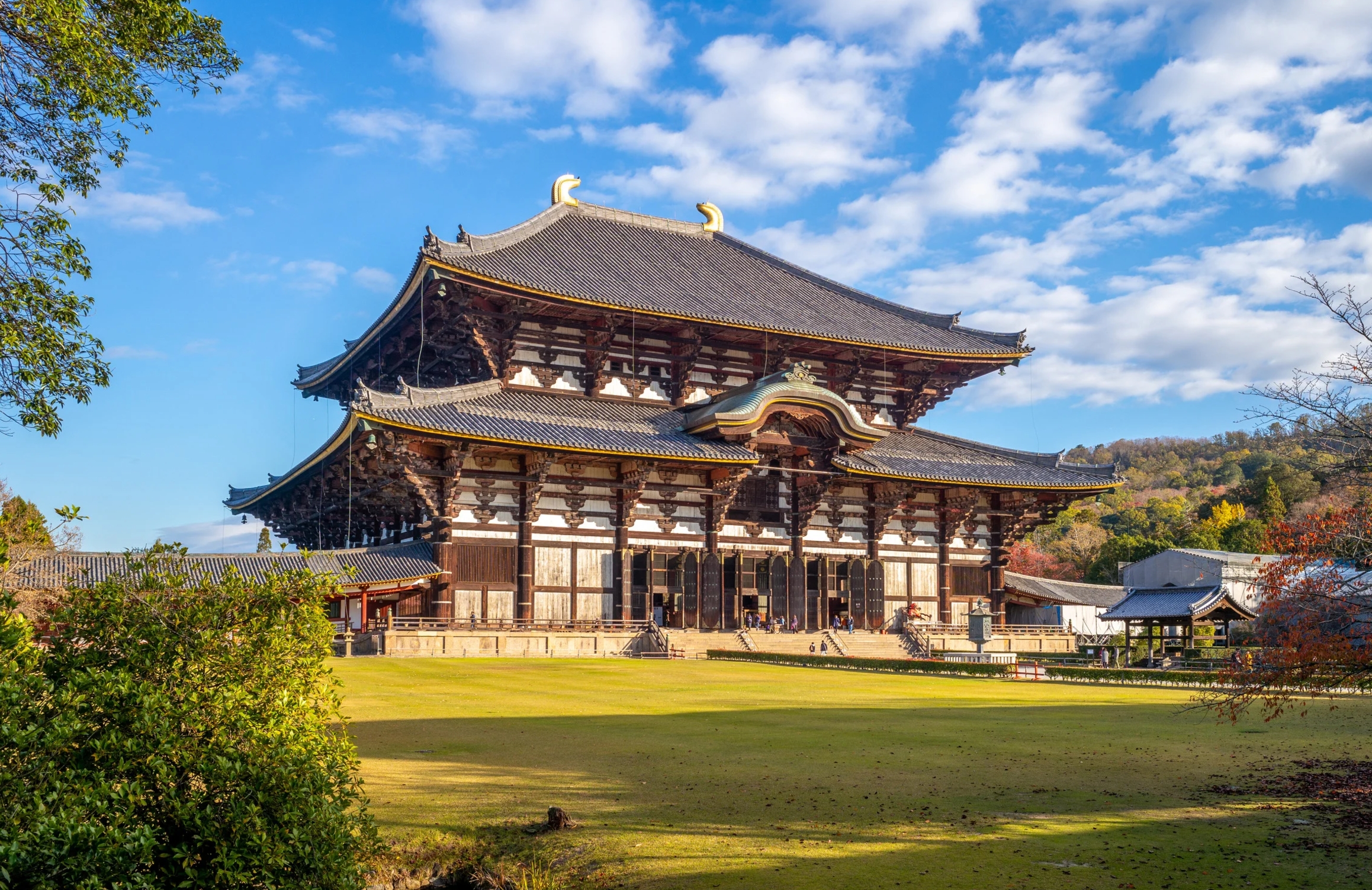 日本飽覽關西 奈良和風古都風采 5天團