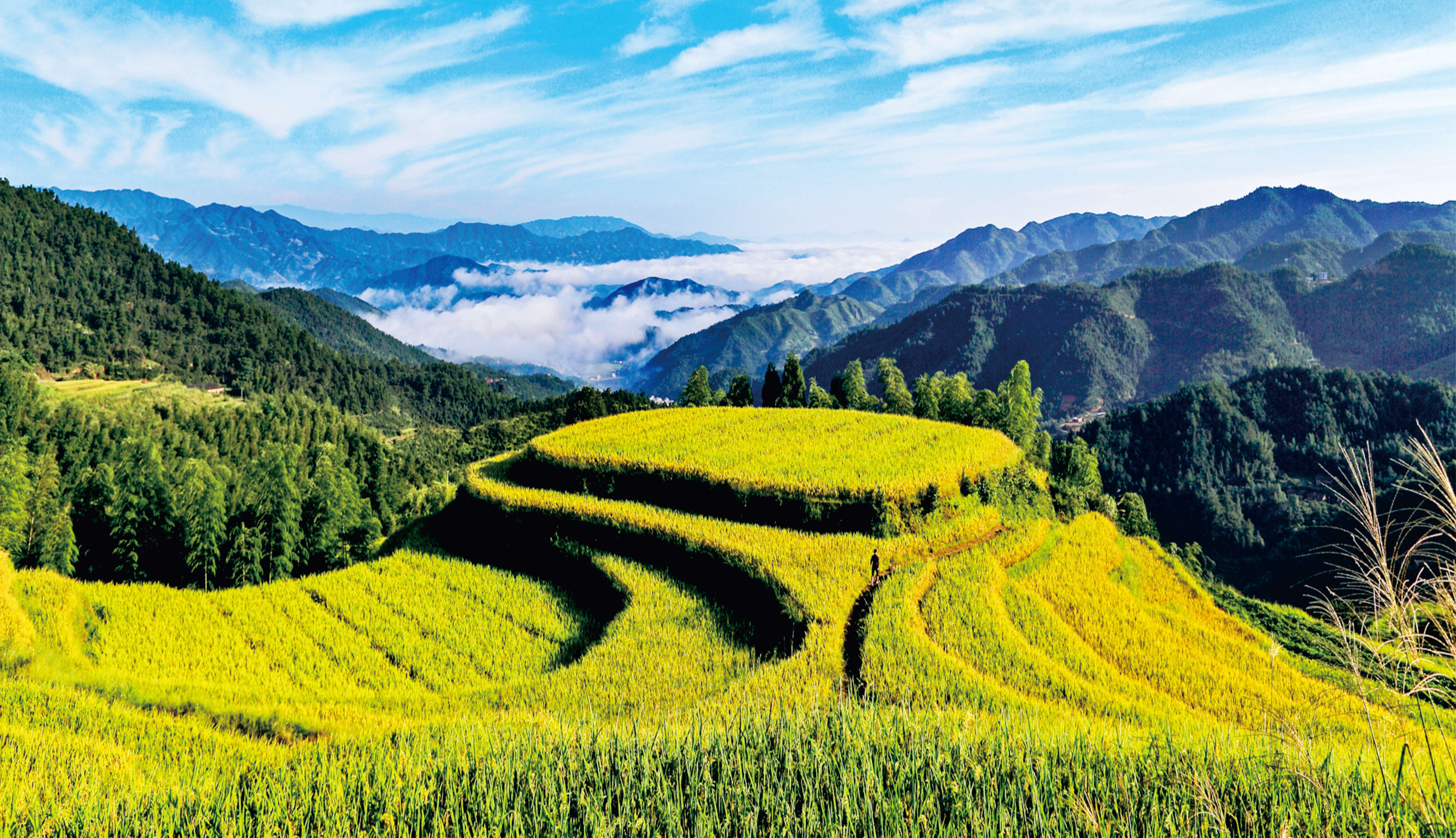 中國“醉美十大梯田”【桃源梯田】、傳說中的嫦娥奔月之地【明月山】、“地球傷疤裂縫”【羅霄山大峽谷】探尋溪谷野趣溫泉巴士純玩4天