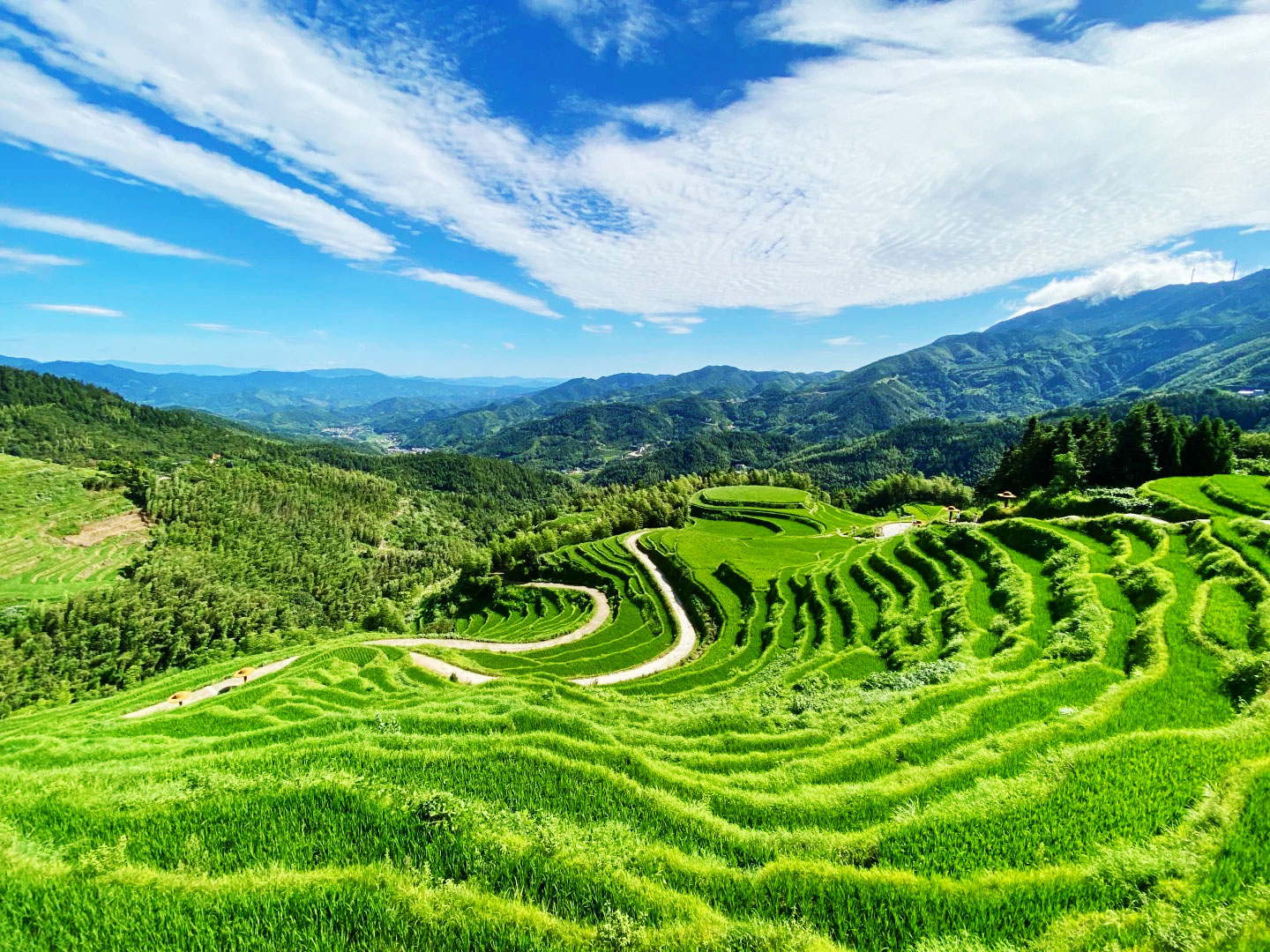 保證連住兩晚【長天遂川賓館】+【贛州三百山溫泉度假區】無限次浸泡富硒溫泉  暢玩“全球十大最美梯田之一”【桃源梯田】 純玩4天團