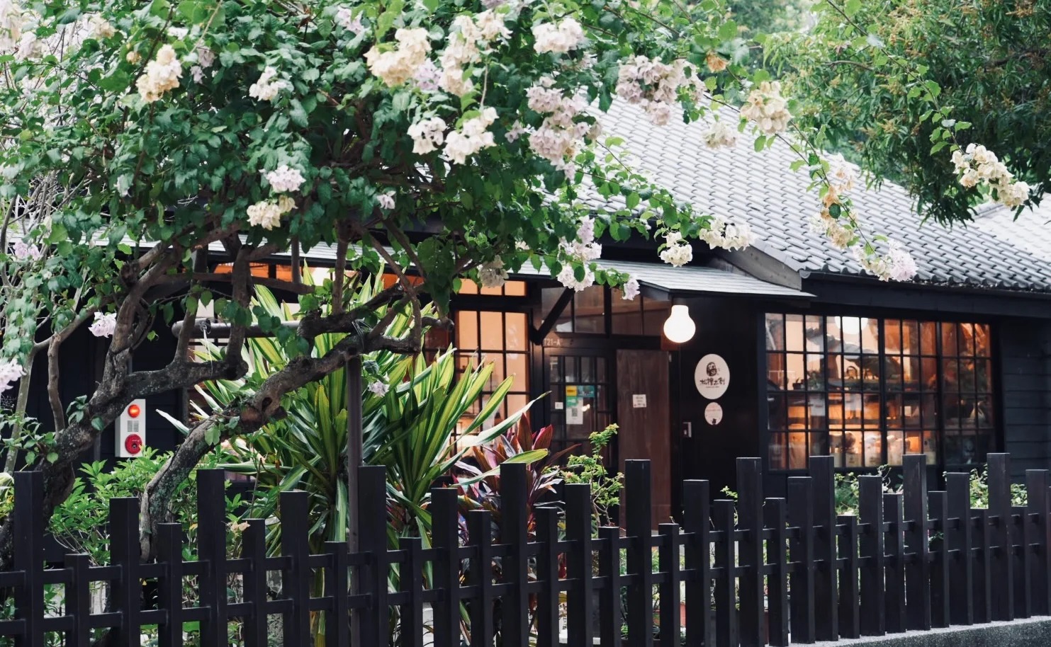 台灣【高雄、阿里山、日月潭、台中、台北】逍遙遊5天團