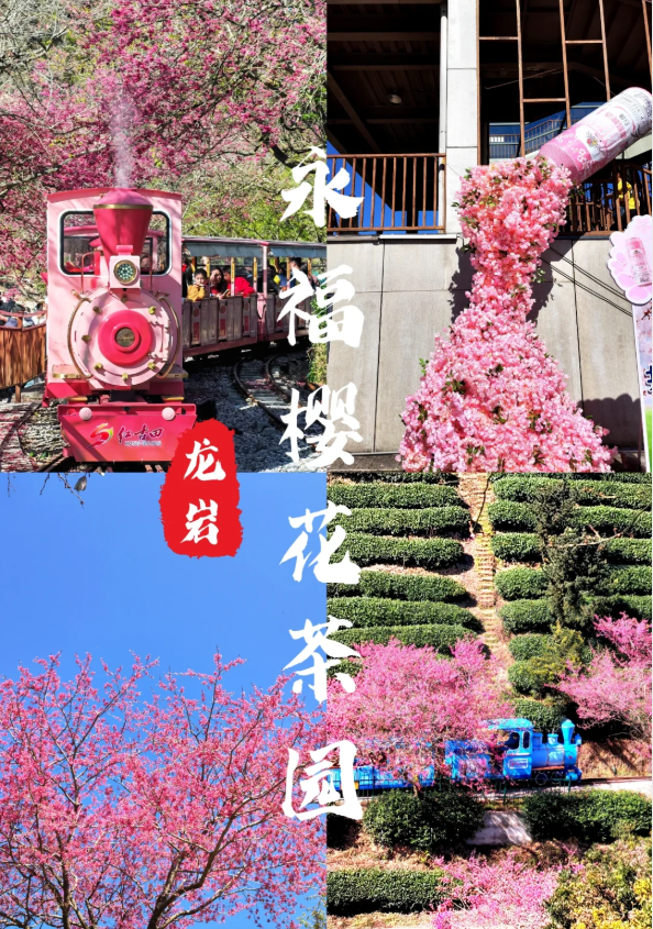 【年度限定】蟳埔村一年一度媽祖巡香/永福櫻花園/七彩官畬/廈門鼓浪嶼 西九龍高鐵往返純玩4天團