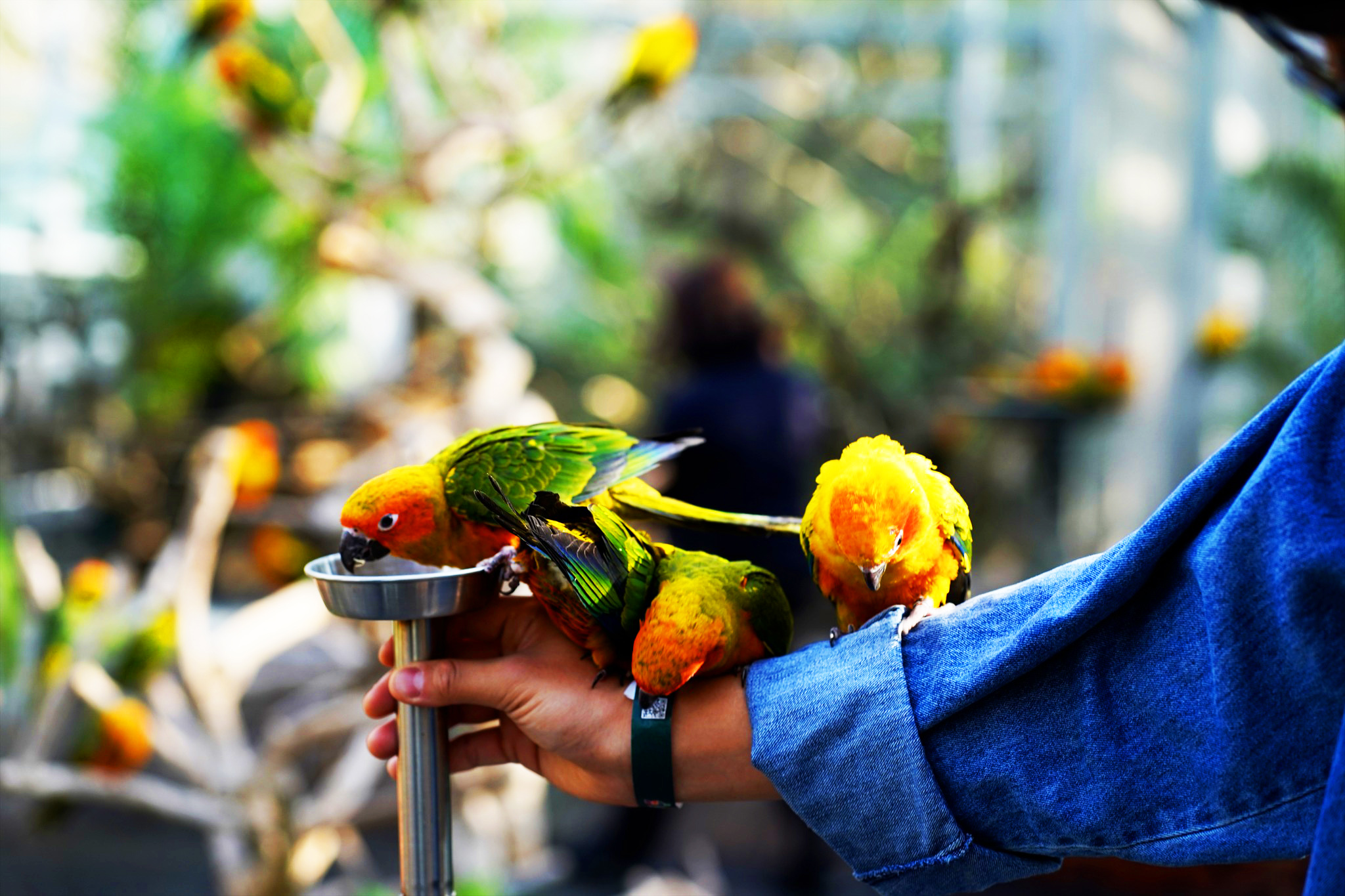 韓國體驗浪漫童話雪景 3天團