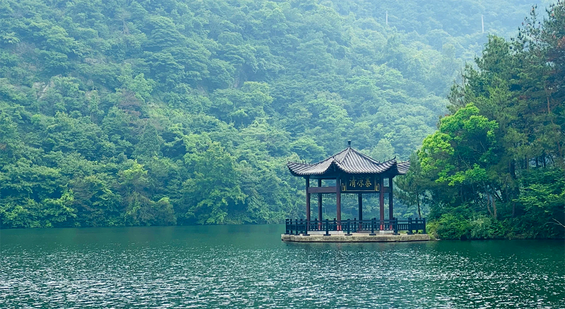 【兩湖品秋】湖北隨州《一年一度銀杏節》高鐵5天團