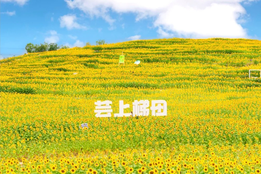秋賞北京：紅葉、花海、秋杏葉（季節限定）故宮博物院 直航6天團