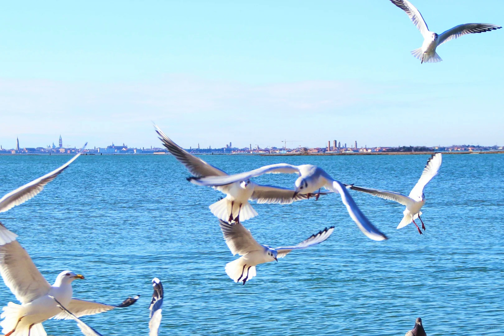 雲南 西雙版納-麗江-大理-昆明精華遊8天團