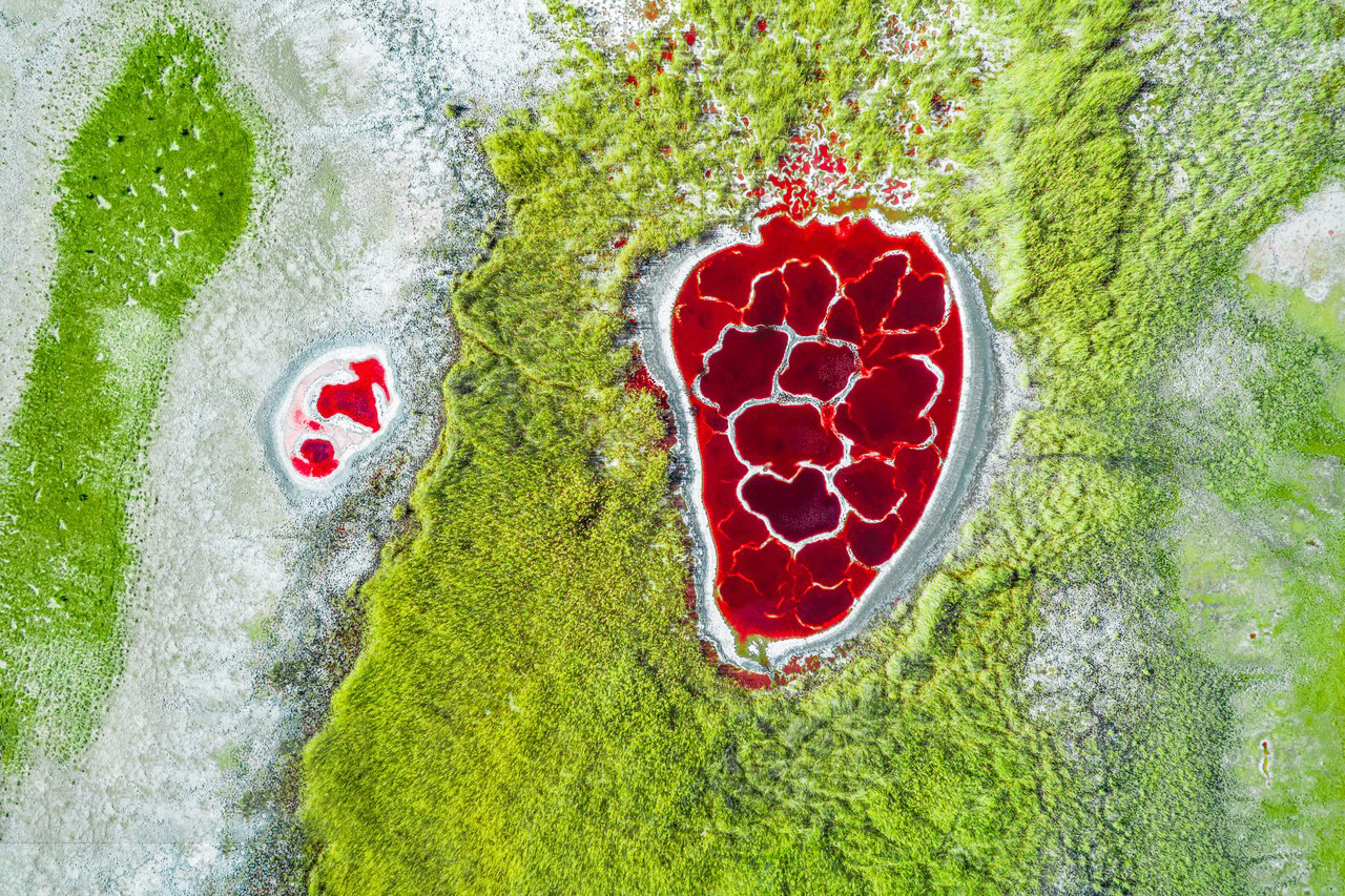 烏蘭湖鎮北堡影視城沙湖濕地 深度銀川8天團