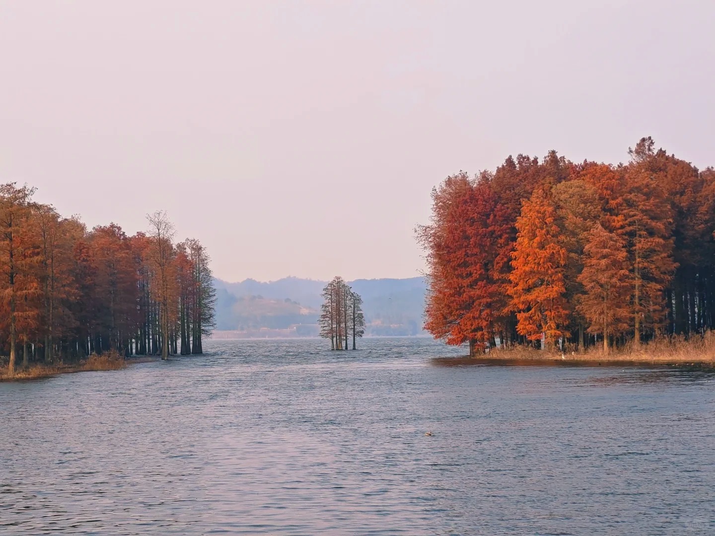 奢享桂林陽朔超值高鐵4天團（買一送一）