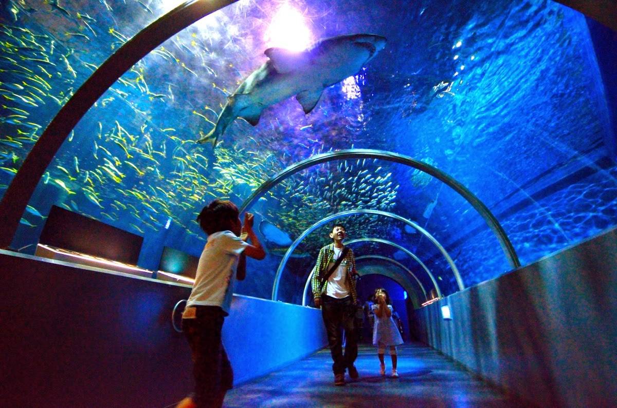 近距離感受 札幌冬の旅 北海道5天團