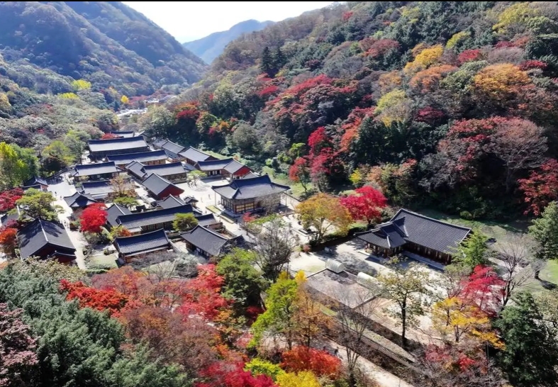 韓國內藏山賞楓3天團