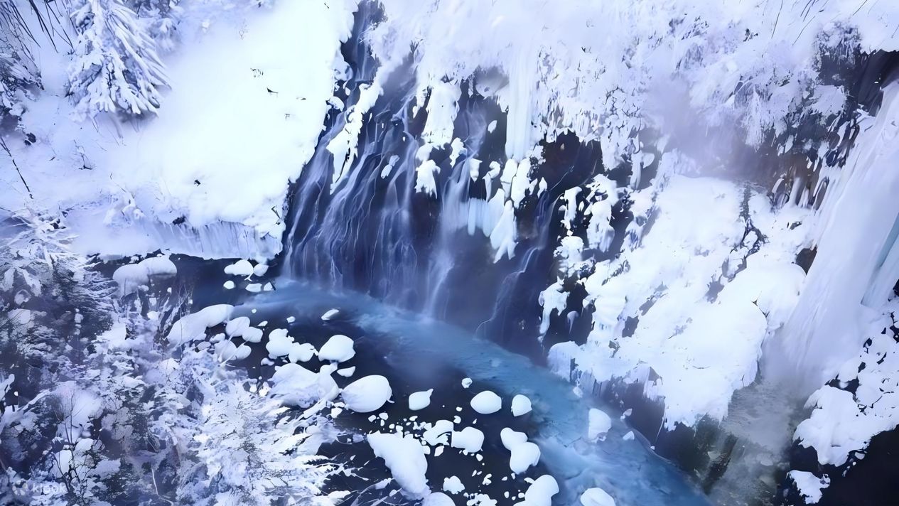 冰海奇航 破冰前行！北海道5天團