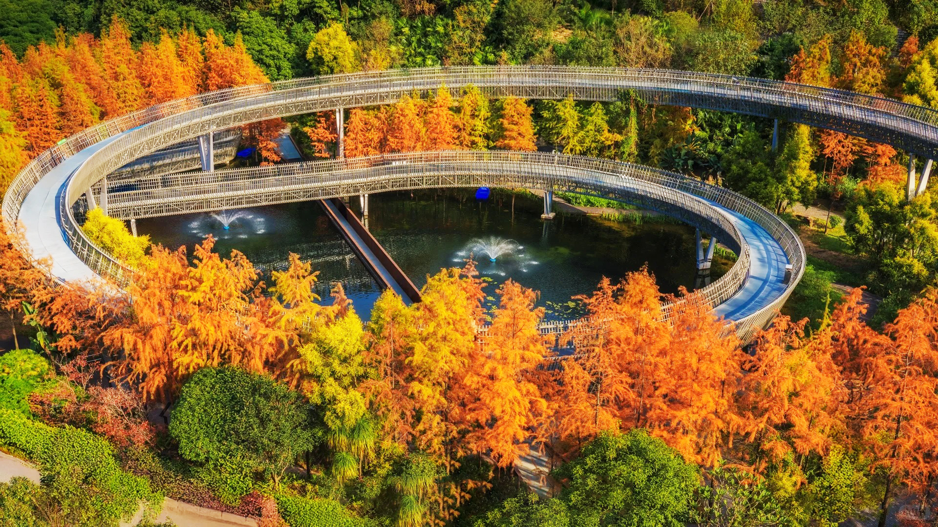 雲頂漫步 有福之州 高鐵直達4天團