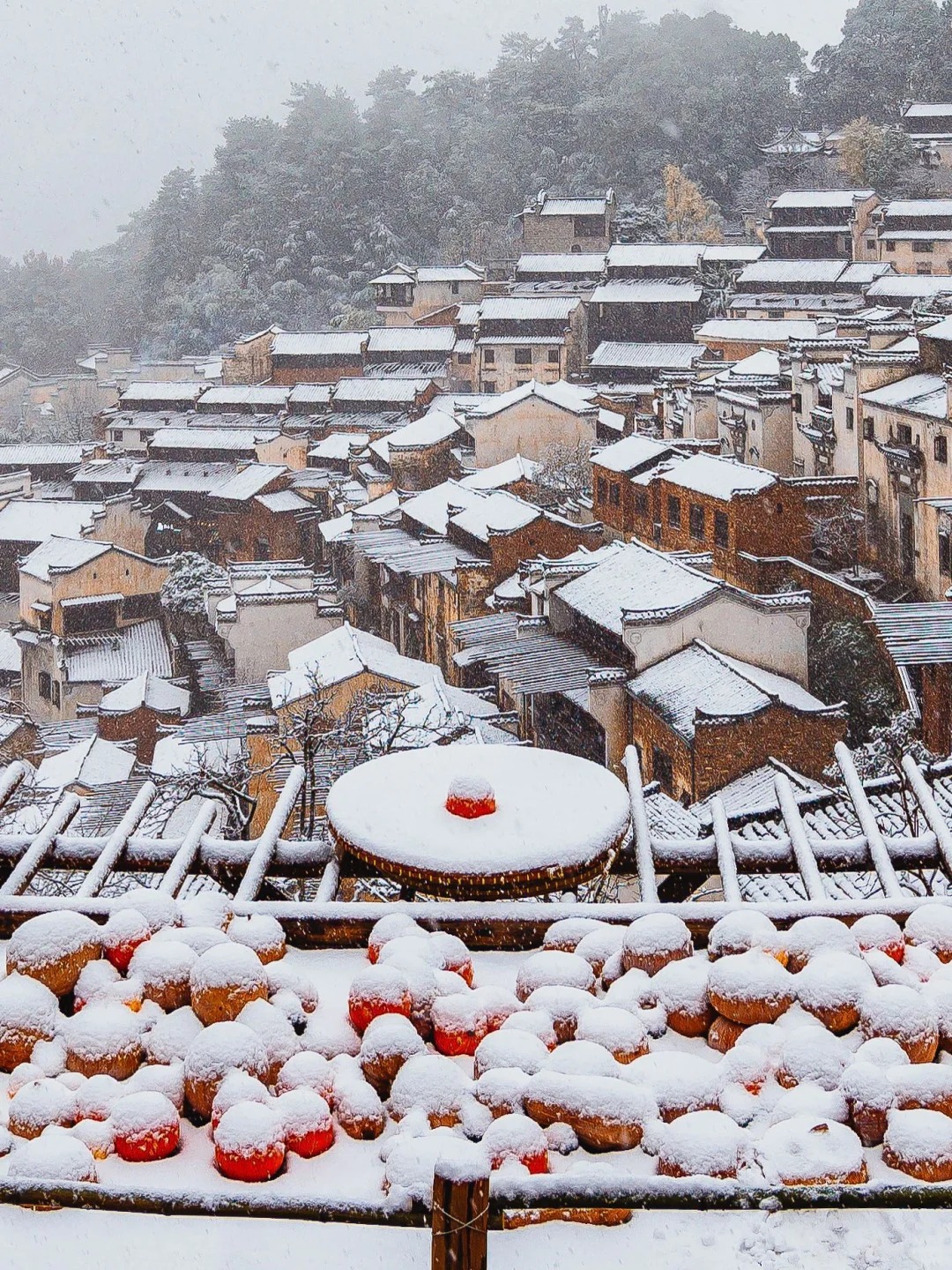 南國廬山賞雪天花板 5天團