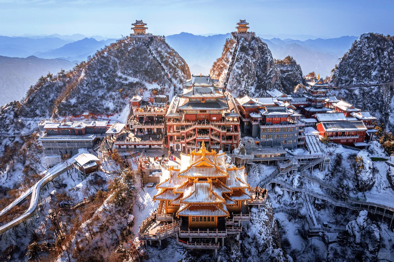 共赴盛唐 牡丹盛開醉華章 河南洛陽6天團