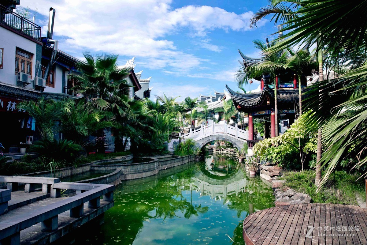 【西九龍往返】春櫻之約 穿越萬畝櫻花海 全程5星標準高鐵純玩5天團