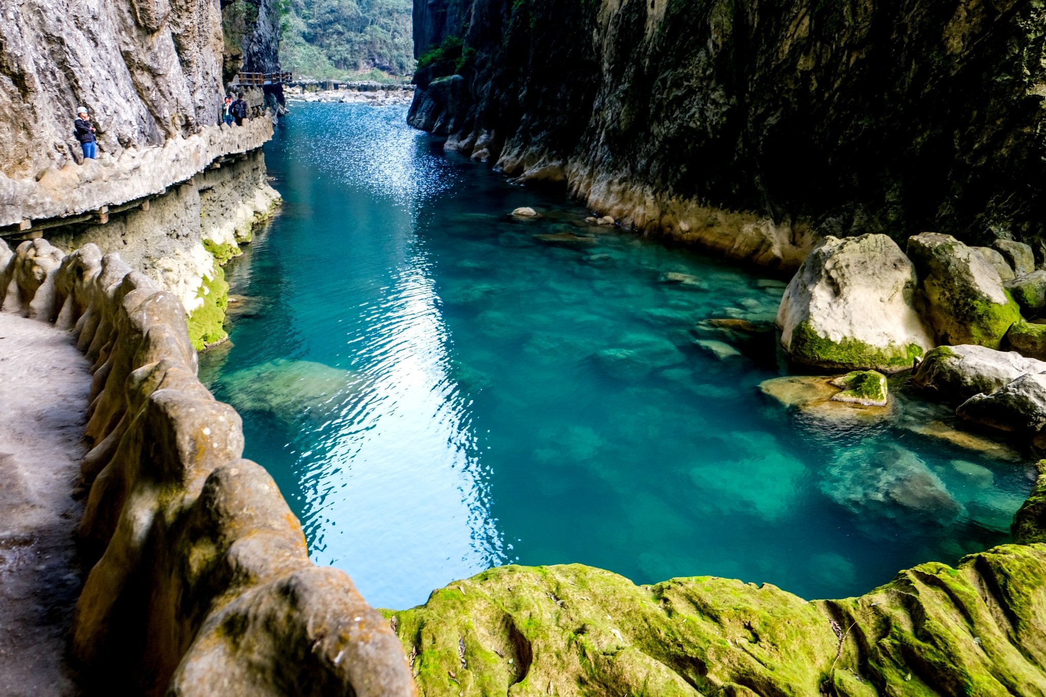 【西九龍往返】春櫻之約 穿越萬畝櫻花海 全程5星標準高鐵純玩5天團