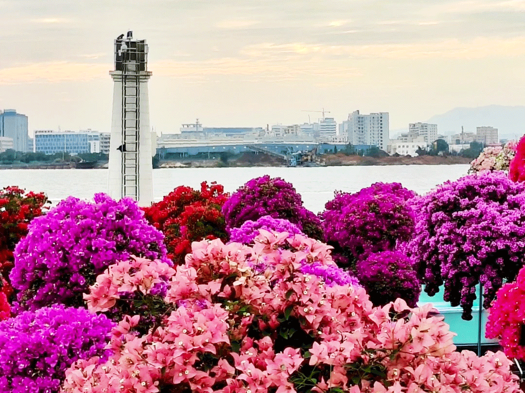 入住國際品牌酒店&圭峰疊翠，漫步西江花海 江門中山純玩2天團