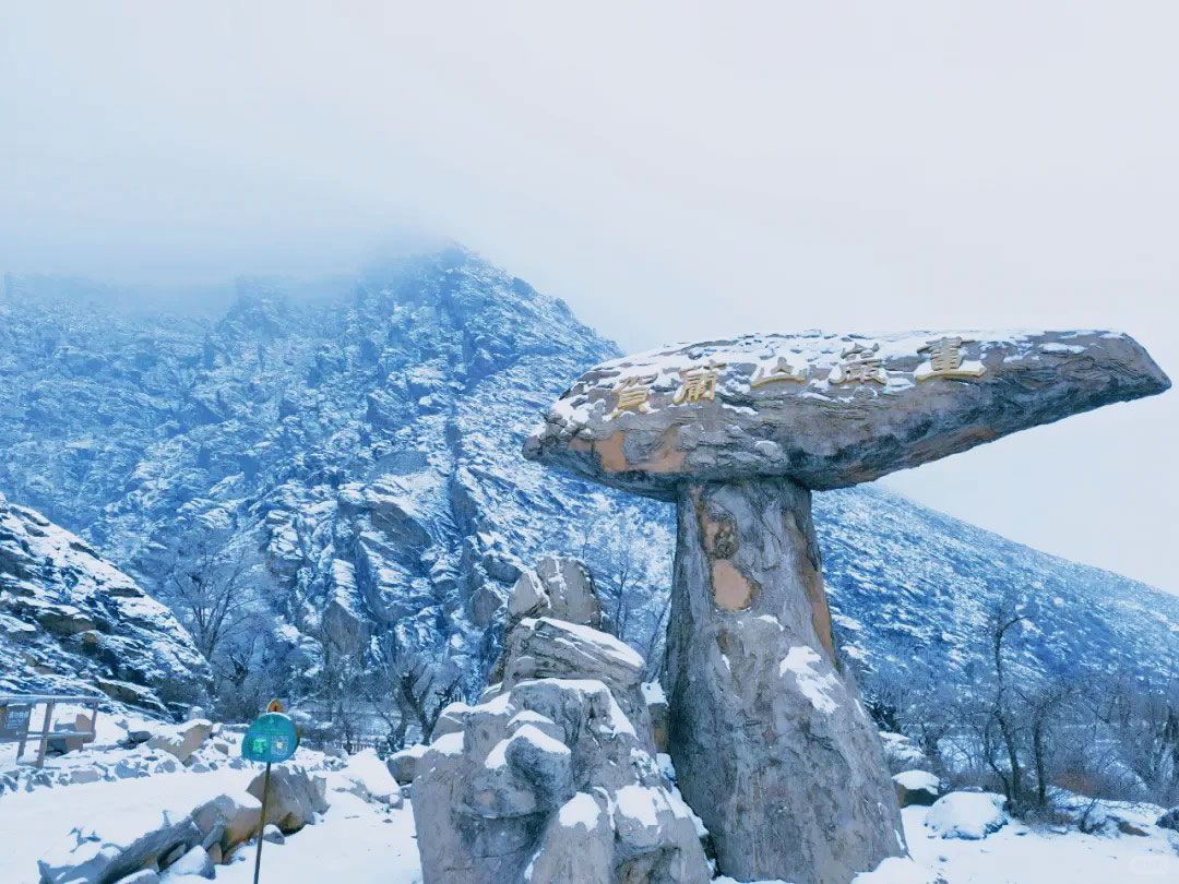 冬遊銀川 夢回萬年冬韻 直航5天團