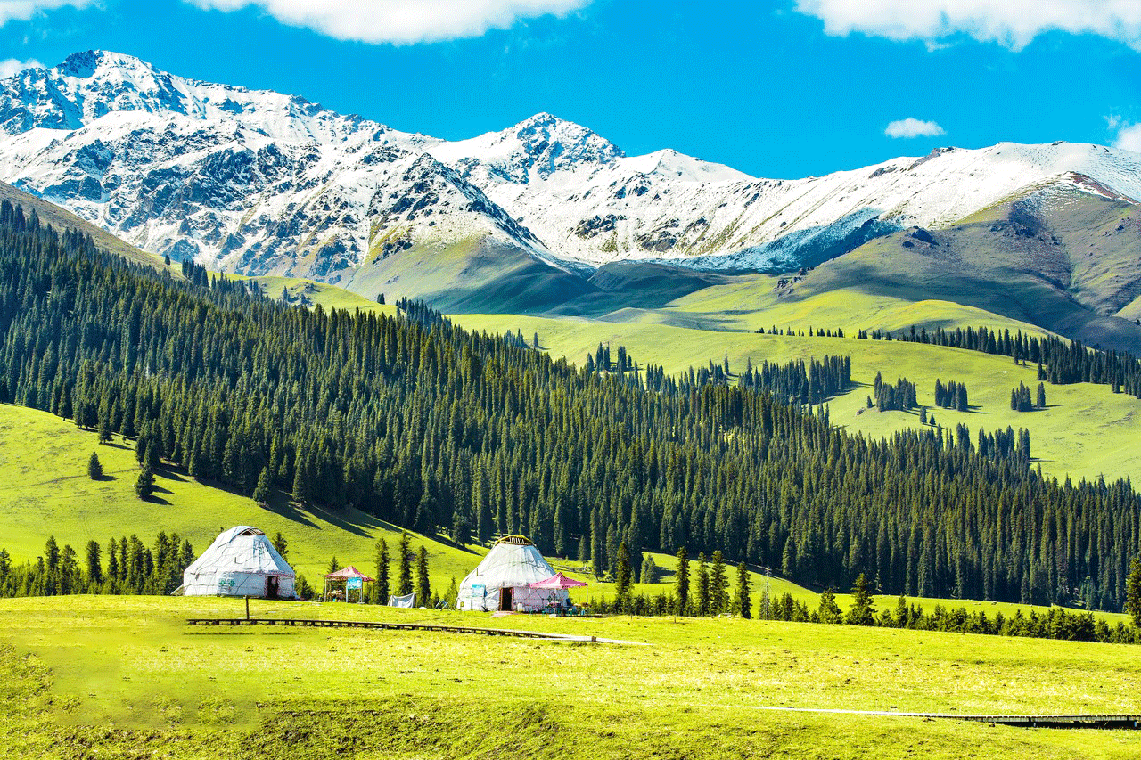 北疆追花之旅 沉醉那拉提花海 春色北疆直航8天團