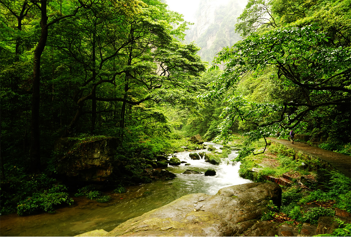 重慶魔幻山城 湖南張家界雙城聯遊 高鐵6天團