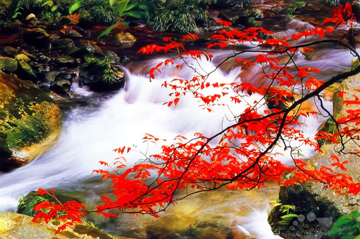 天工開畫卷 大地雕刻的雲中傳奇 張家界6天團