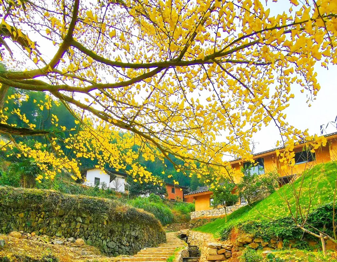保證連住兩晚【長天遂川賓館】（主樓客房）暢玩「全球十大最美梯田之一」【桃源梯田】 純玩3天團
