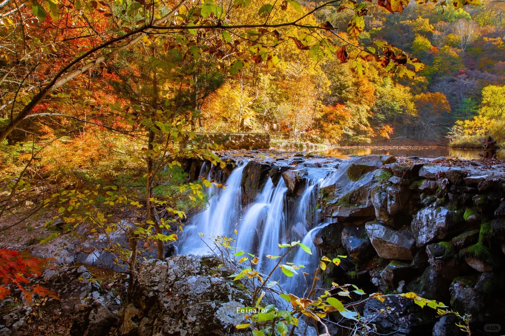 遼東(秋季限定9-10月)賞秋觀紅葉  直航8天團