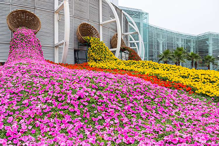 【母親節專場】感恩母親，感恩母愛，不喧嘩，自有聲，歲月如歌，共赴愛的盛宴     享五星標準酒店 歎【一魚四味+招牌水晶雞宴】【特色擒拿手抓燒排骨宴】 純玩 2天團