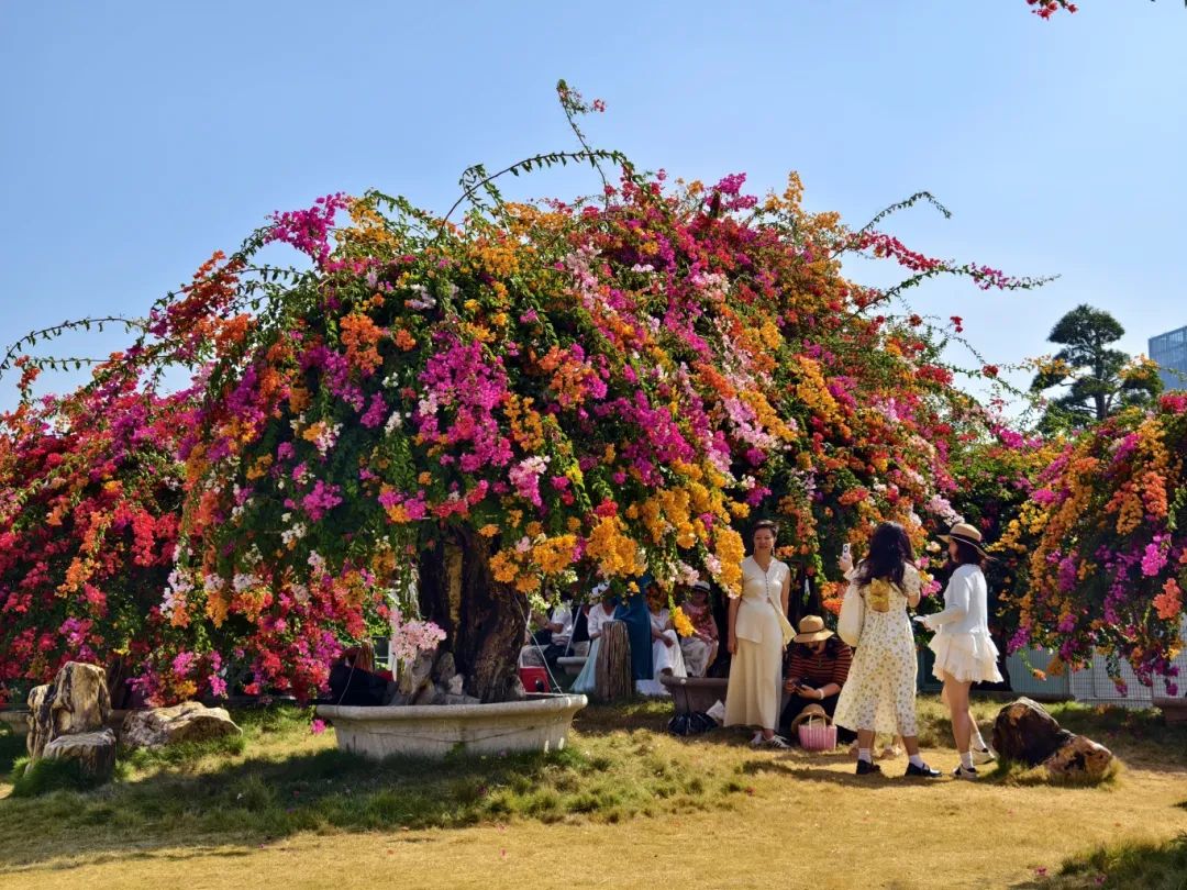 【母親節專場】感恩母親，感恩母愛，不喧嘩，自有聲，歲月如歌，共赴愛的盛宴     享五星標準酒店 歎【一魚四味+招牌水晶雞宴】【特色擒拿手抓燒排骨宴】 純玩 2天團