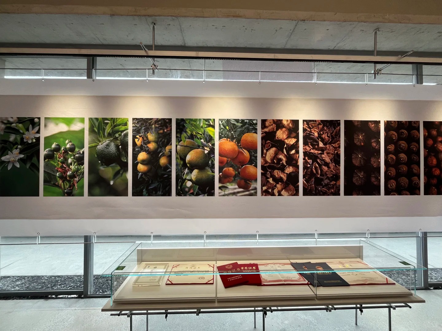 【母親節專場】感恩母親，感恩母愛，不喧嘩，自有聲，歲月如歌，共赴愛的盛宴 豪歎【酒店自助晚餐】【金牌秘制沉香豬+特色炸雲吞宴】 【吊燒藏香豬原邊排骨+棟企雞宴】江門佛山純玩 3天團