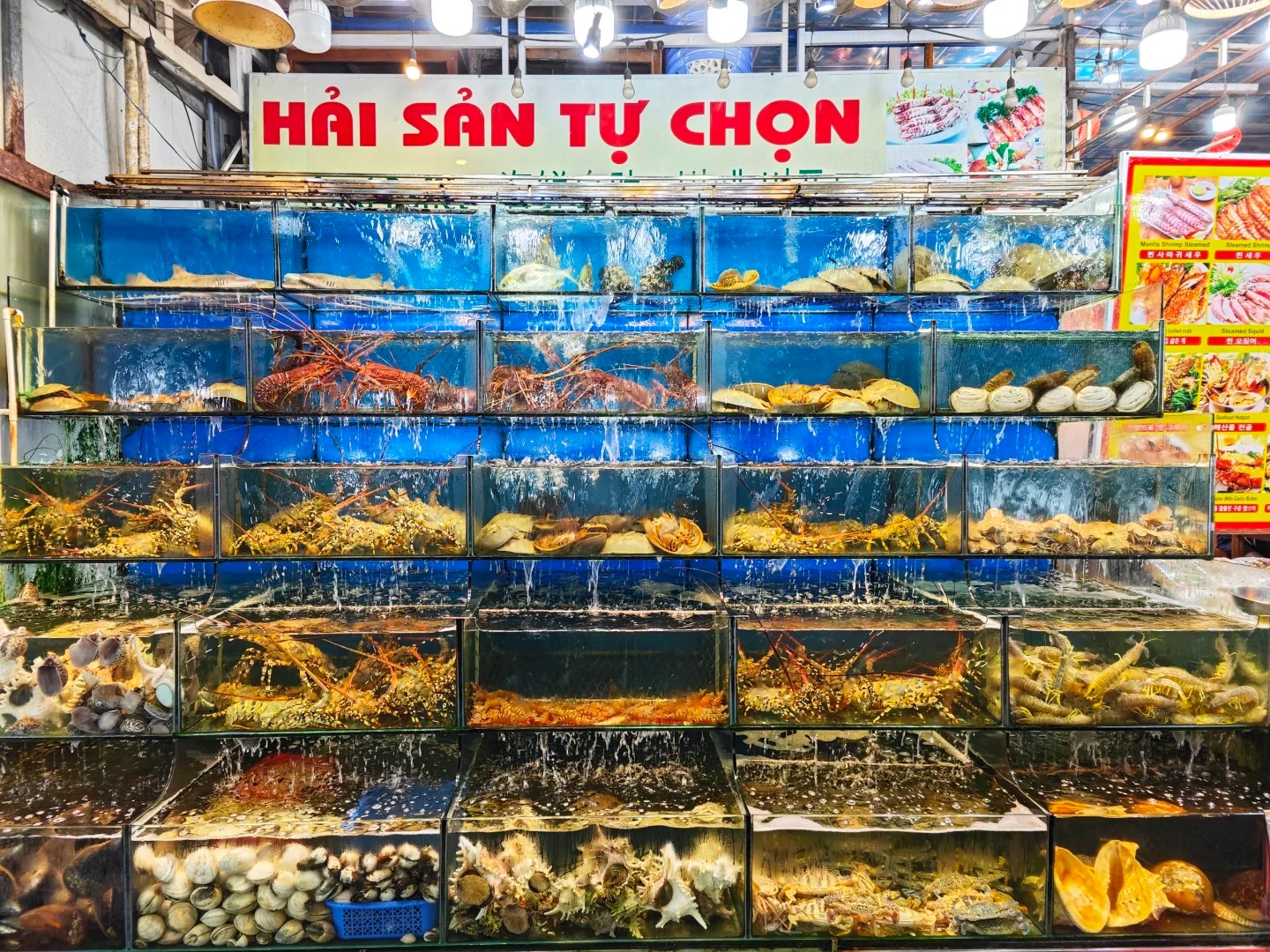 越南-富國島打卡無敵海景 5天團  