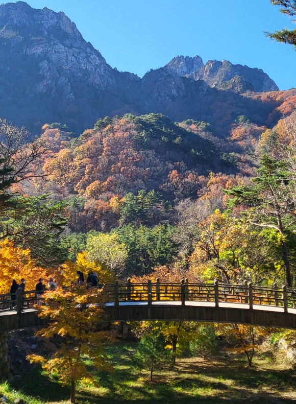 秋季江原道雪嶽山賞楓五天團