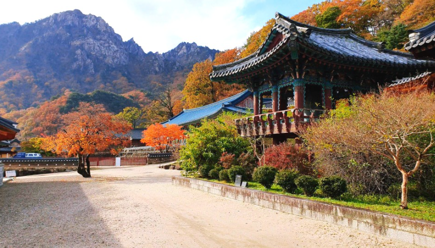 秋季江原道雪嶽山賞楓五天團