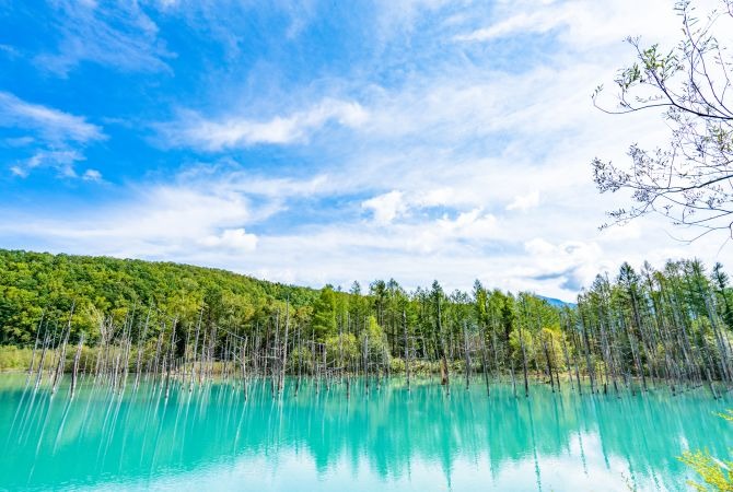 邂逅富良野與小樽的浪漫 北海道5天團