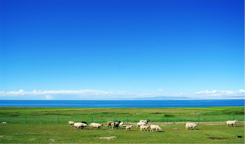 青海湖莫高窟大柴旦翡翠湖七彩丹霞 甘肅蘭州8天團