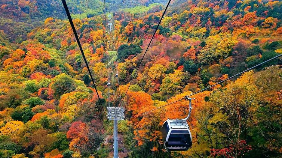 探秘巴蜀山水古蜀雄關首選  光霧山5天團