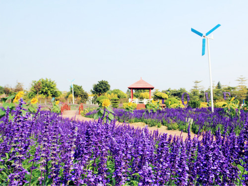 保證入住2025年全新開業【廣州白雲機場雅閣國際大酒店】歎【酒店海鮮自助晚餐】【薰衣草蔥油雞宴】天半團