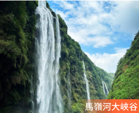 秋攝貴州·⾦⾊妥樂 高鐵5天