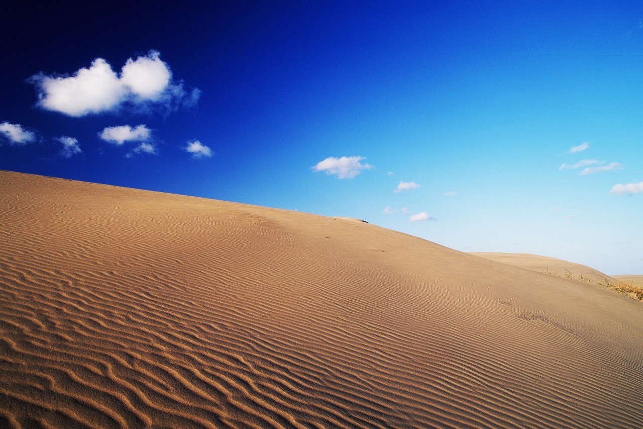 品味江戶時代的迴遊式庭園美學 關西6天團