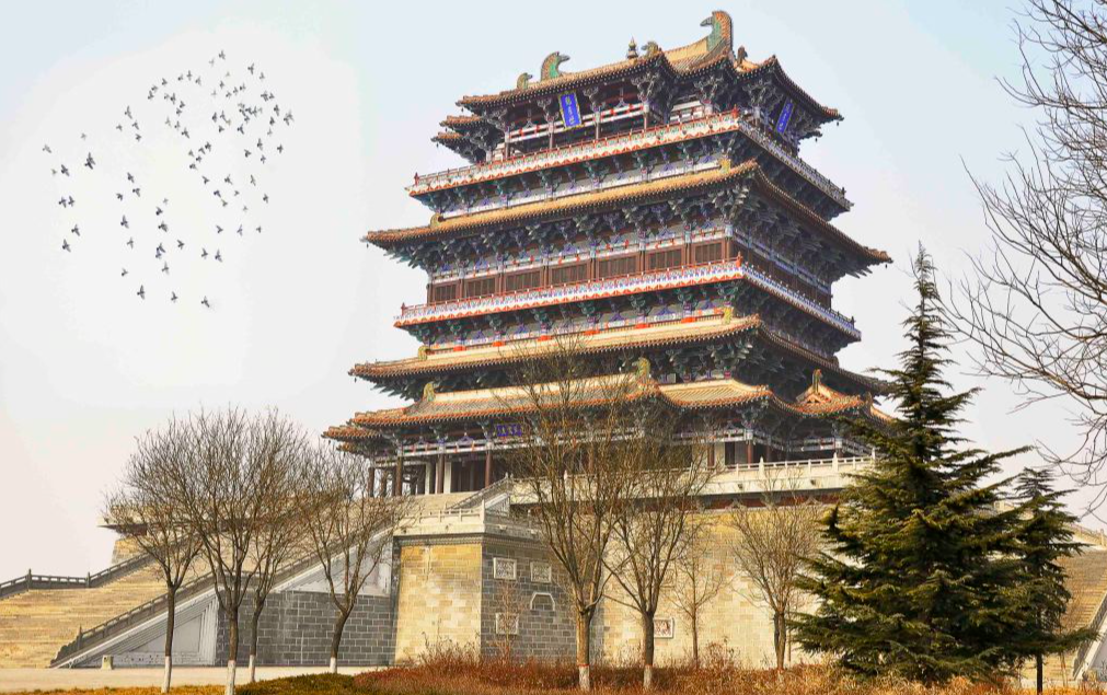 共赴盛唐 牡丹盛開醉華章 河南洛陽6天團