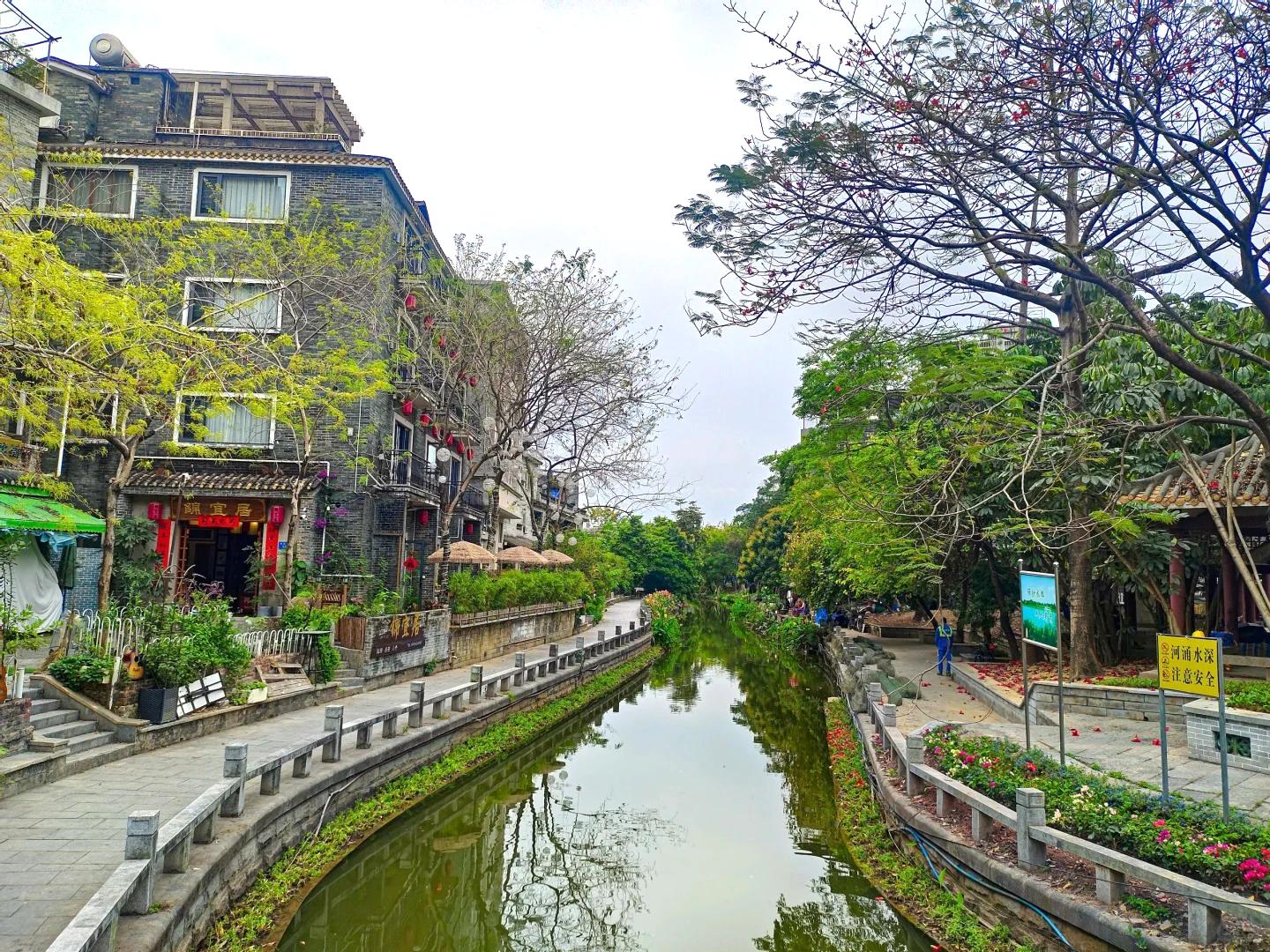 “梅你不行 紫櫻你來”花開滿城 純玩2天團