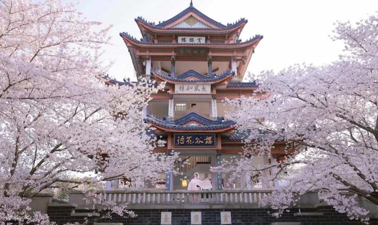 踏春江南巔峰頂奢和平之旅獨家獨創花季花期性盲盒賞花（踏春不踏空）6天團