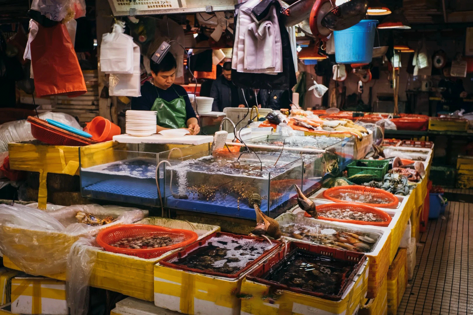 潮汕的日與夜+大潮歸來·入夢潮州純玩3天團