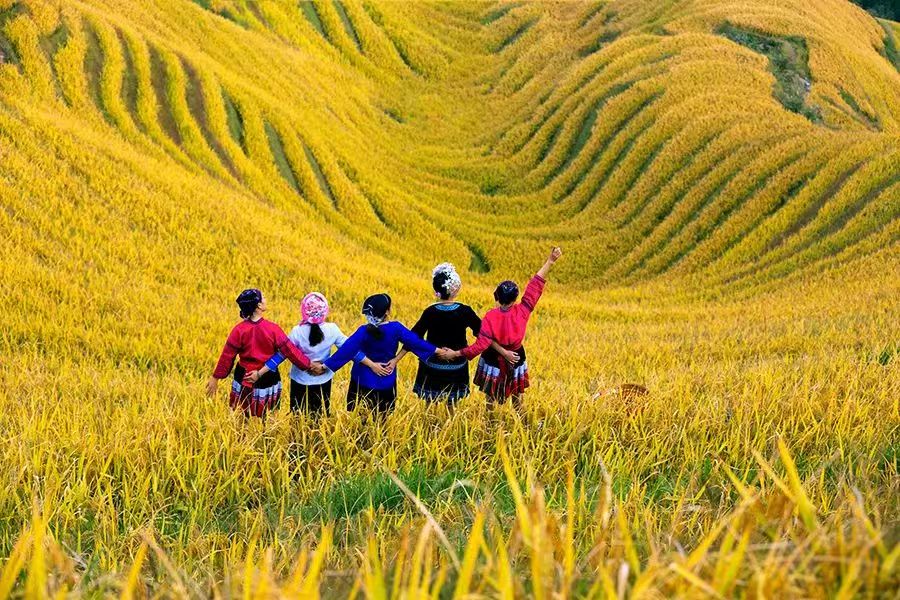 天梯雲鏈繞翠巒 行在灕江煙雨 醉在千峰翠色之間 壯家歲月雕山骨 桂林高鐵4天團