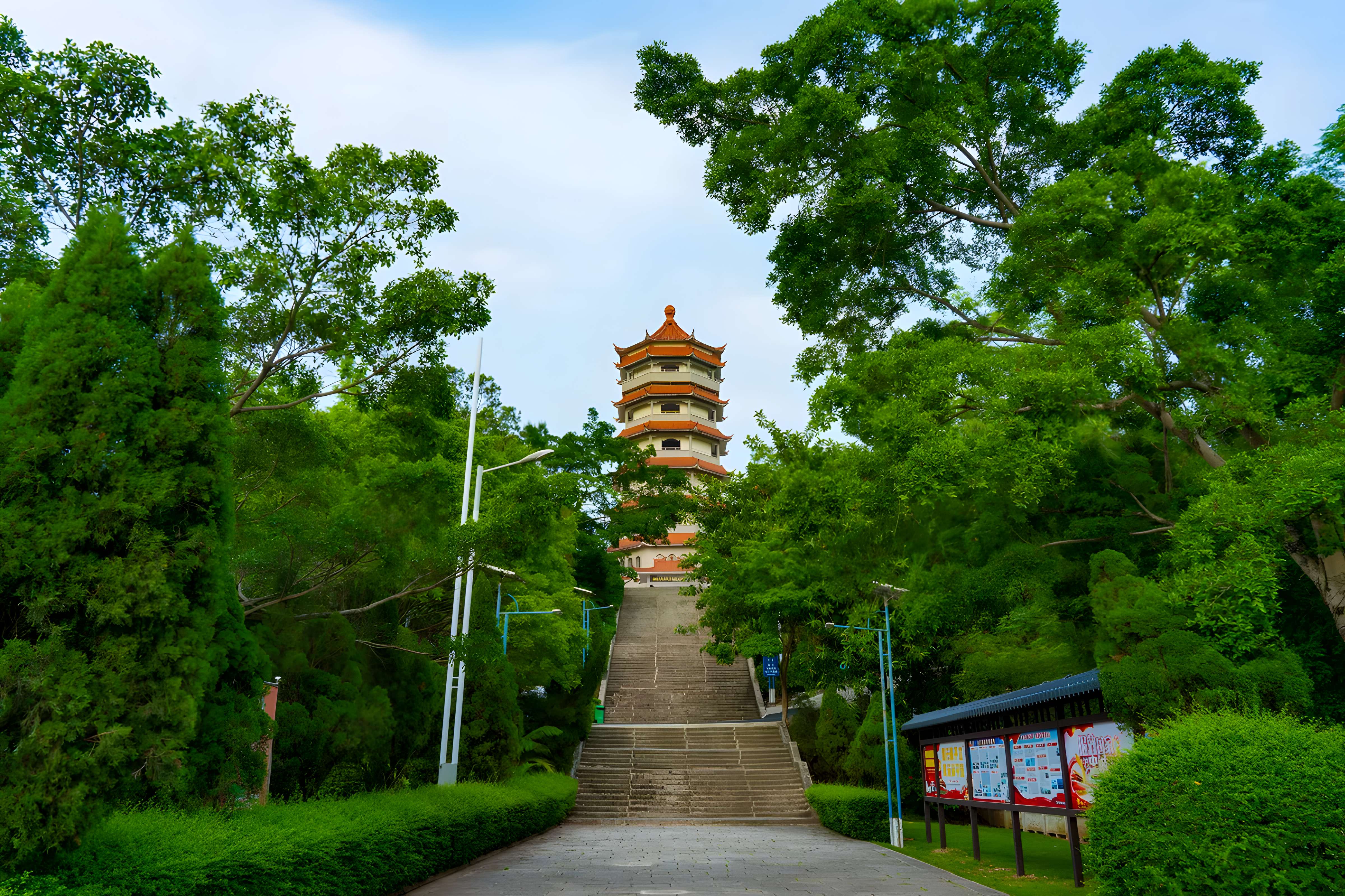 打卡武漢經典老街與長江地標 櫻花節6天團